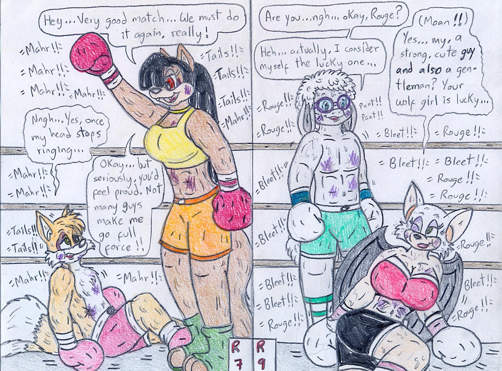 Deviantart Tails Boxing Boxing Mahr and Bleet vs Tails and Rouge by Jose-Ramiro on DeviantArt