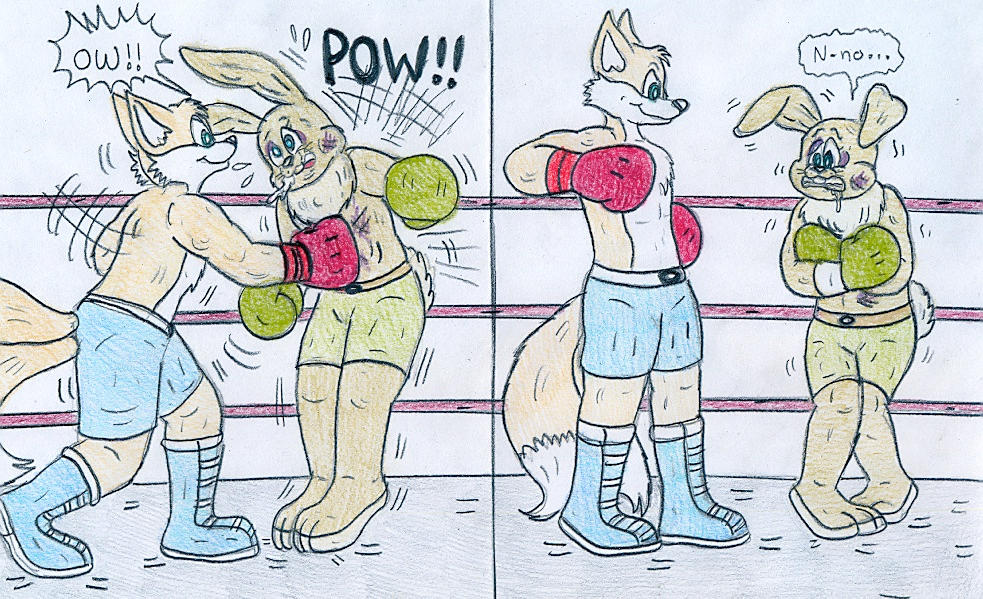 Deviantart Tails Boxing Boxing Tails vs Bunny - Beating by Jose-Ramiro on DeviantArt