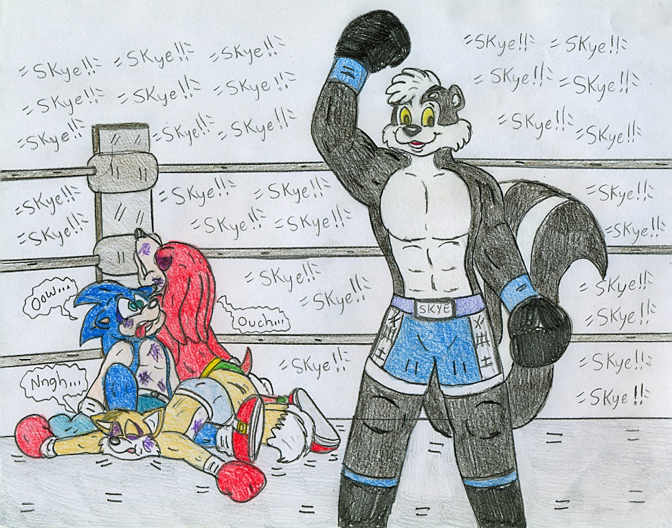 Jose Ramiro Deviantart Sonic Boxing Skye vs Sonic Guys - DainKunz by Jose-Ramiro on DeviantArt