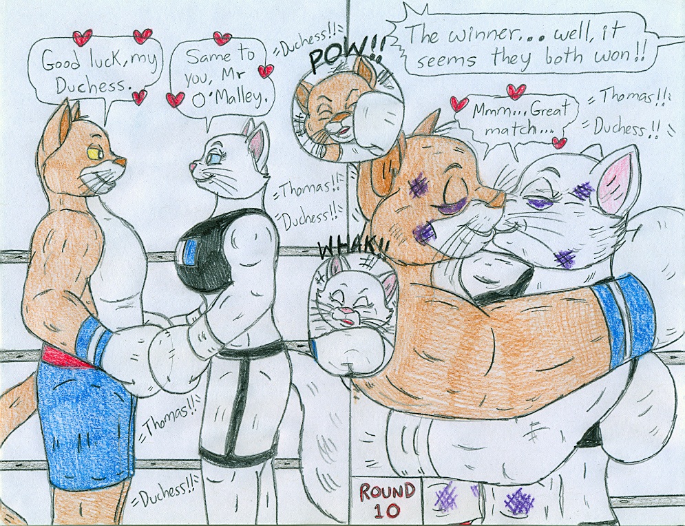 Boxing Anthro Aristocats