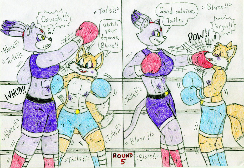 Boxing Blaze vs Tails