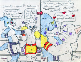 Boxing Veemon vs Gatomon