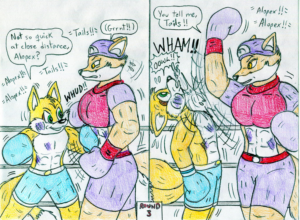 Deviantart Tails Boxing Boxing Alopex vs Tails by Jose-Ramiro on DeviantArt