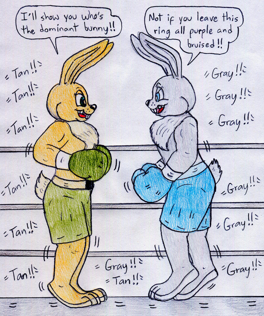 Boxing Bunnies by Jose-Ramiro on DeviantArt