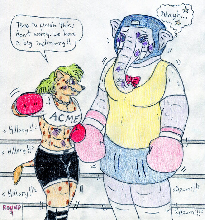 Hillary Boxing Boxing Hillary vs Azumi (Animal Boxing) by Jose-Ramiro on DeviantArt