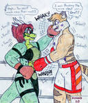 Deviantart Tails Boxing Boxing Blaze vs Tails - Final by Jose-Ramiro on DeviantArt