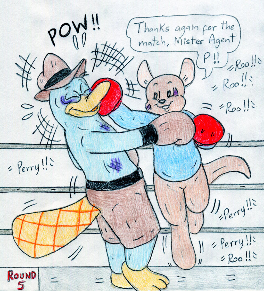 Boxing Roo vs Perry by Jose-Ramiro on DeviantArt
