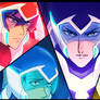 Voltron paladins