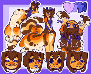 Vita Model sheet