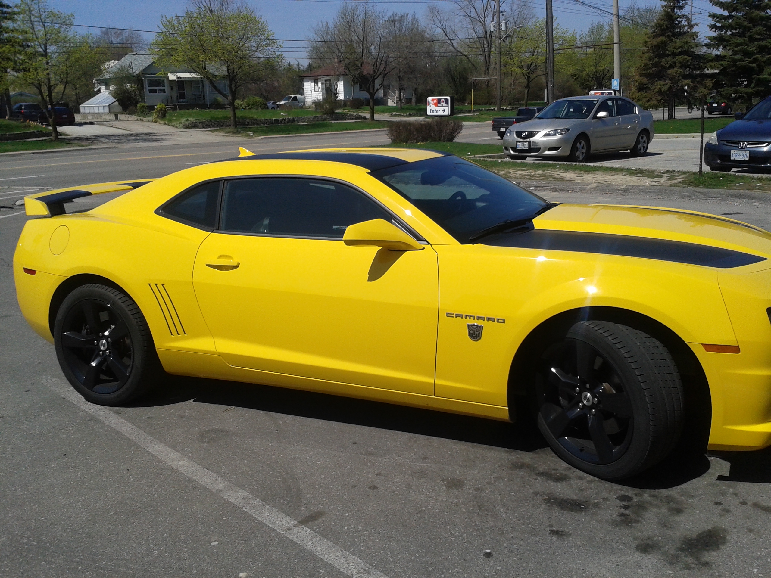 Bumblebee in Canada