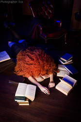 Merida in library