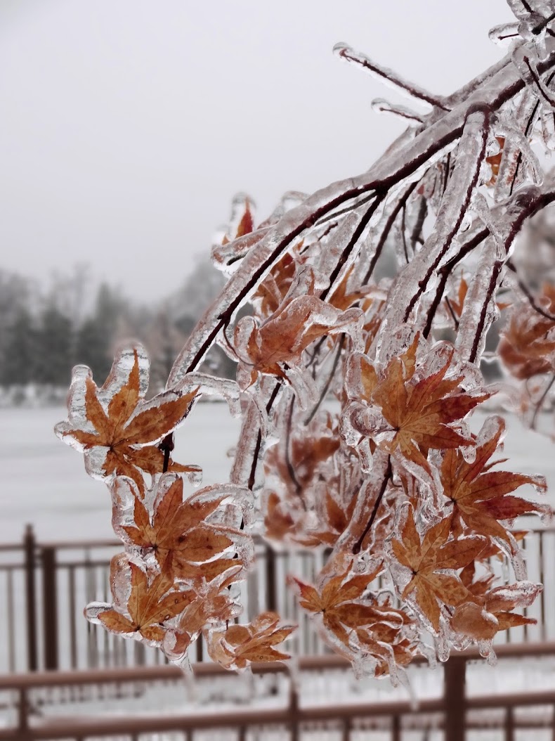 Canadian Ice Storm