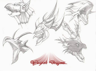 the dragons