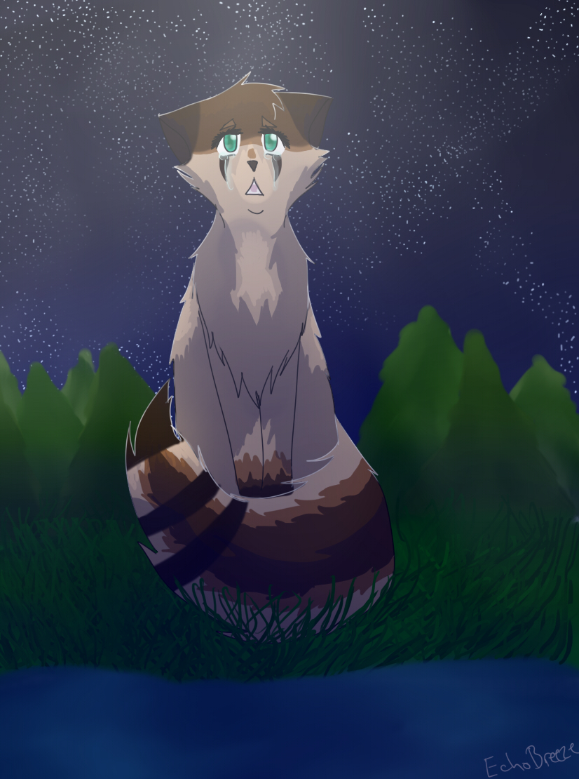 Starclan Why