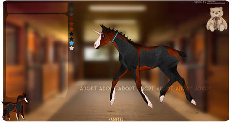 adopt horse (closed)