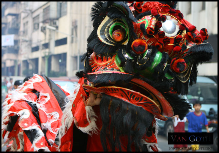 lion dancer 2