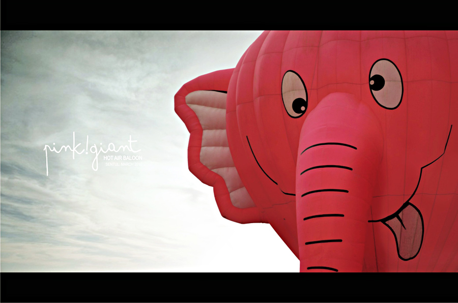 pinkGIANT baloon