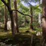 Royanji Temple grounds