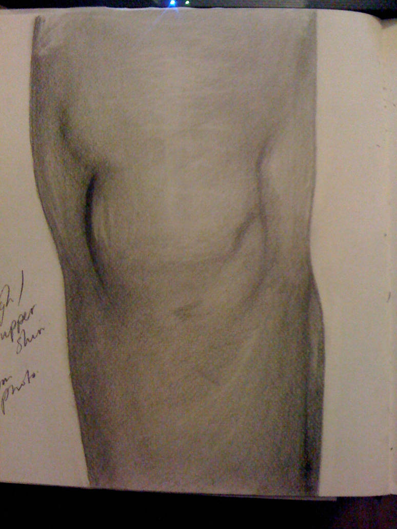 Deviantart Knees Knee by RiverJam on DeviantArt