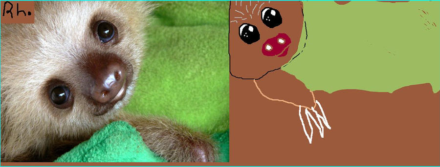 Sloths r cute! by jakeshort on DeviantArt