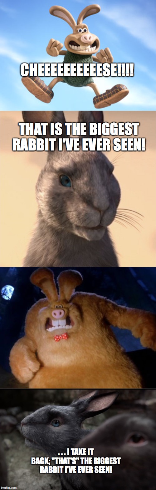Watership Down Meme Bluebell And The Were Rabbit By Foxteen0206 On Deviantart Watership Down Meme Bluebell And The Were Rabbit By Foxteen0206 On Deviantart