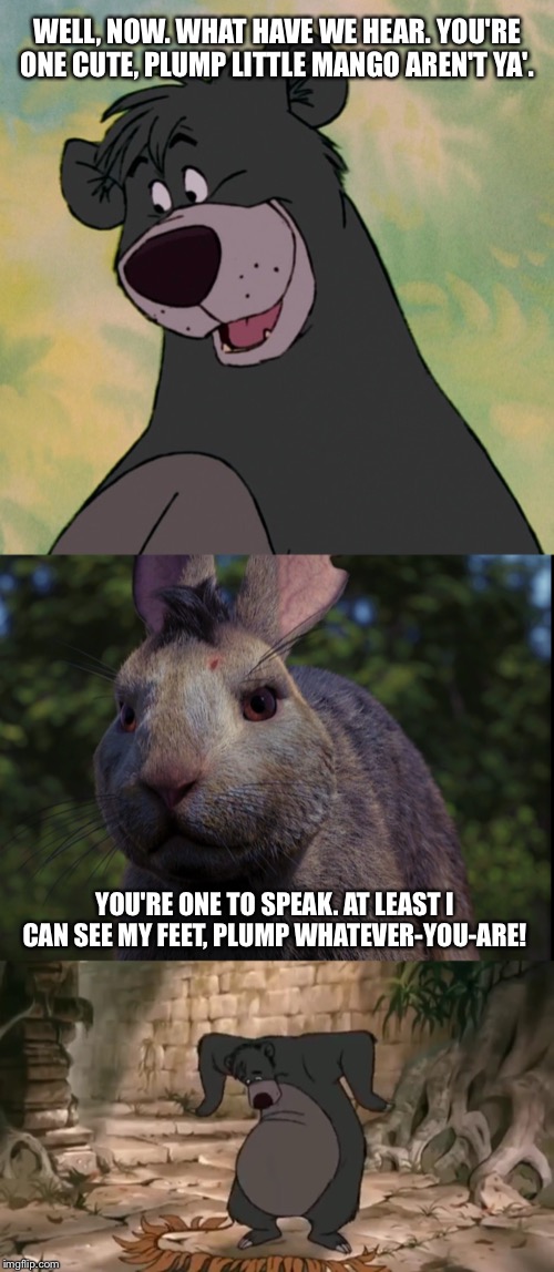 Watership Down Meme Bigwig Meets Baloo By Foxteen0206 On Deviantart Watership Down Meme Bigwig Meets Baloo By Foxteen0206 On Deviantart