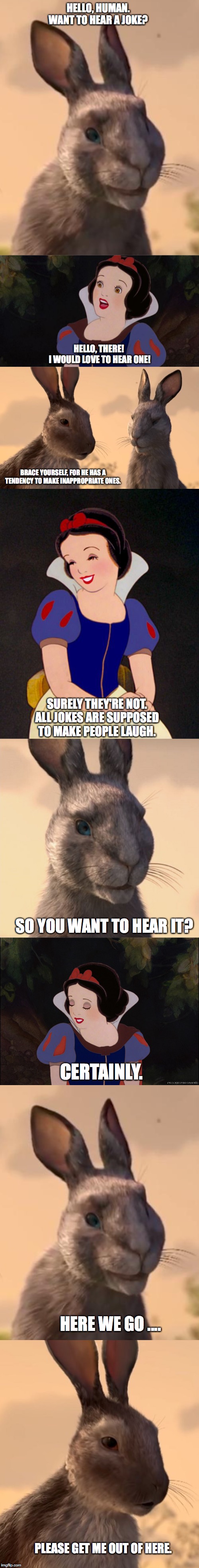 Watership Down Meme Bluebell And Snow White By Foxteen06 On Deviantart Watership Down Meme Bluebell And Snow White By Foxteen06 On Deviantart