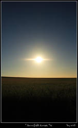 cornfield sunset