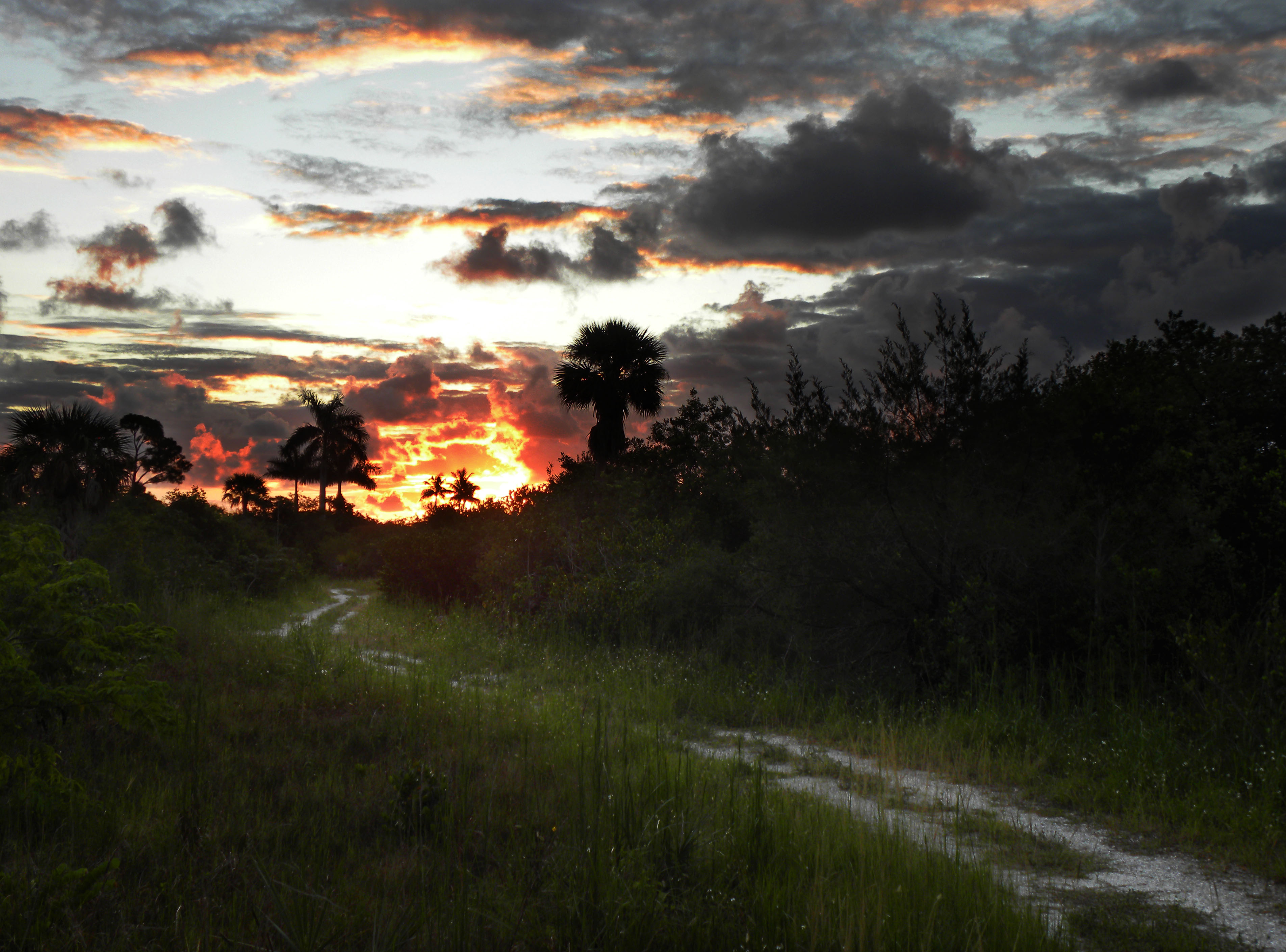 Sunrise Stroll