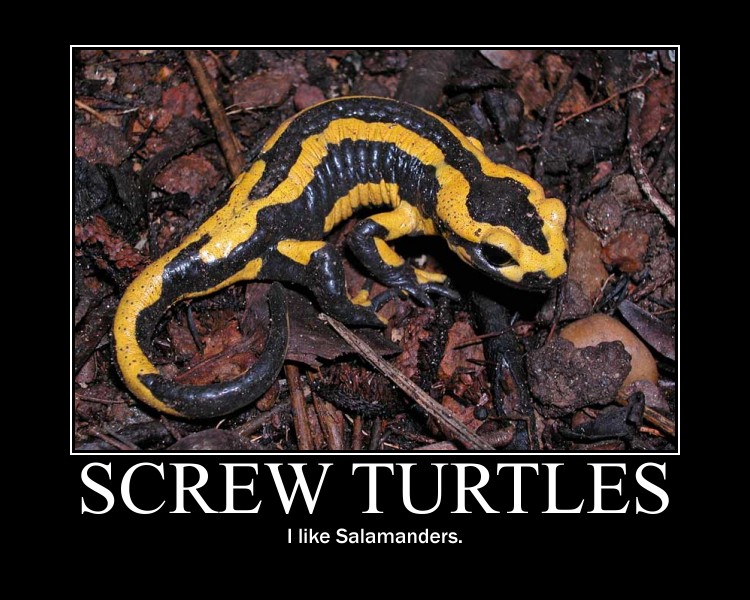 Screw Turtles...