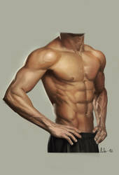 Torso study by theLateman