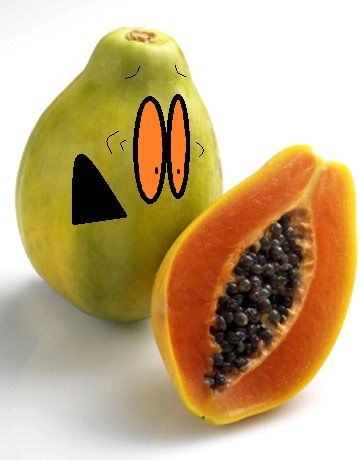 papaya slice