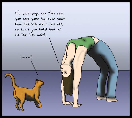 yoga and cats