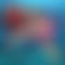 Sponge Blob Attack (Jellytar Version)