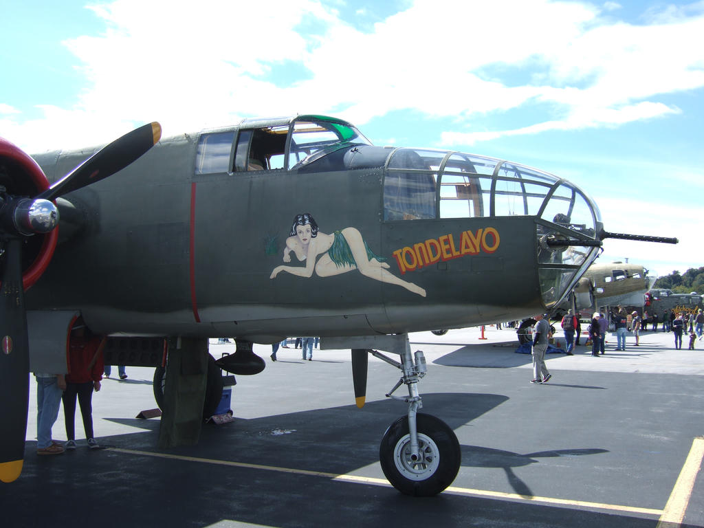 B-25 Mitchell 'Tondelayo' nose