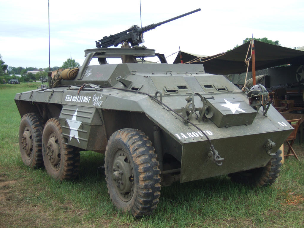 Combattant martyr M208 TEG   - Anti martre voiture