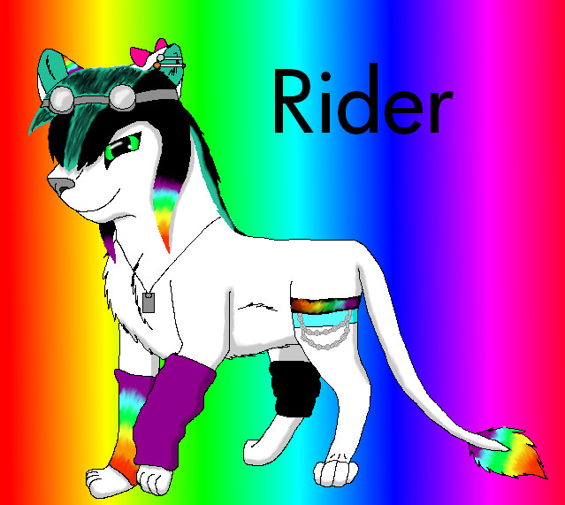 Funky Animation Rider Rider Fan Art by fuzzyfur455 on DeviantArt