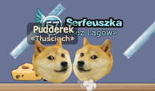 .::Doge wow::.