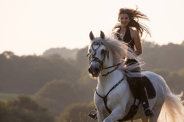 Horse and Human In The Wind