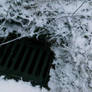 Snowy Drain.