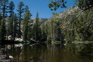 Pond by Angora Lakes