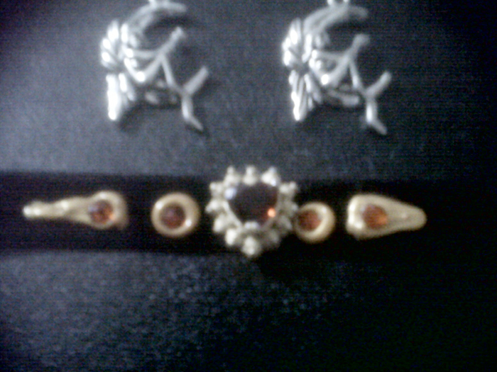 Ruby Choker and Fairy Earrings