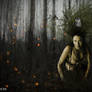 Dark Forest Witch