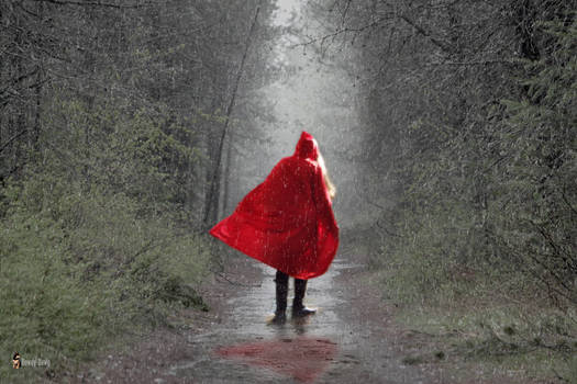 Little Red Trekking Hood