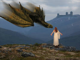 Castle Shuttle Service