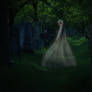 Last Glimpse