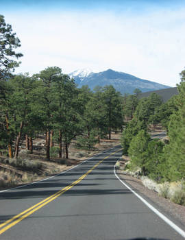 Arizona Road