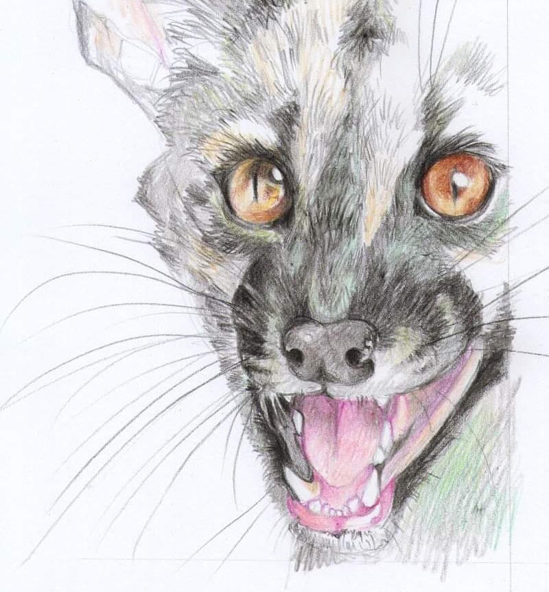 Genet by Sanssouciart on DeviantArt