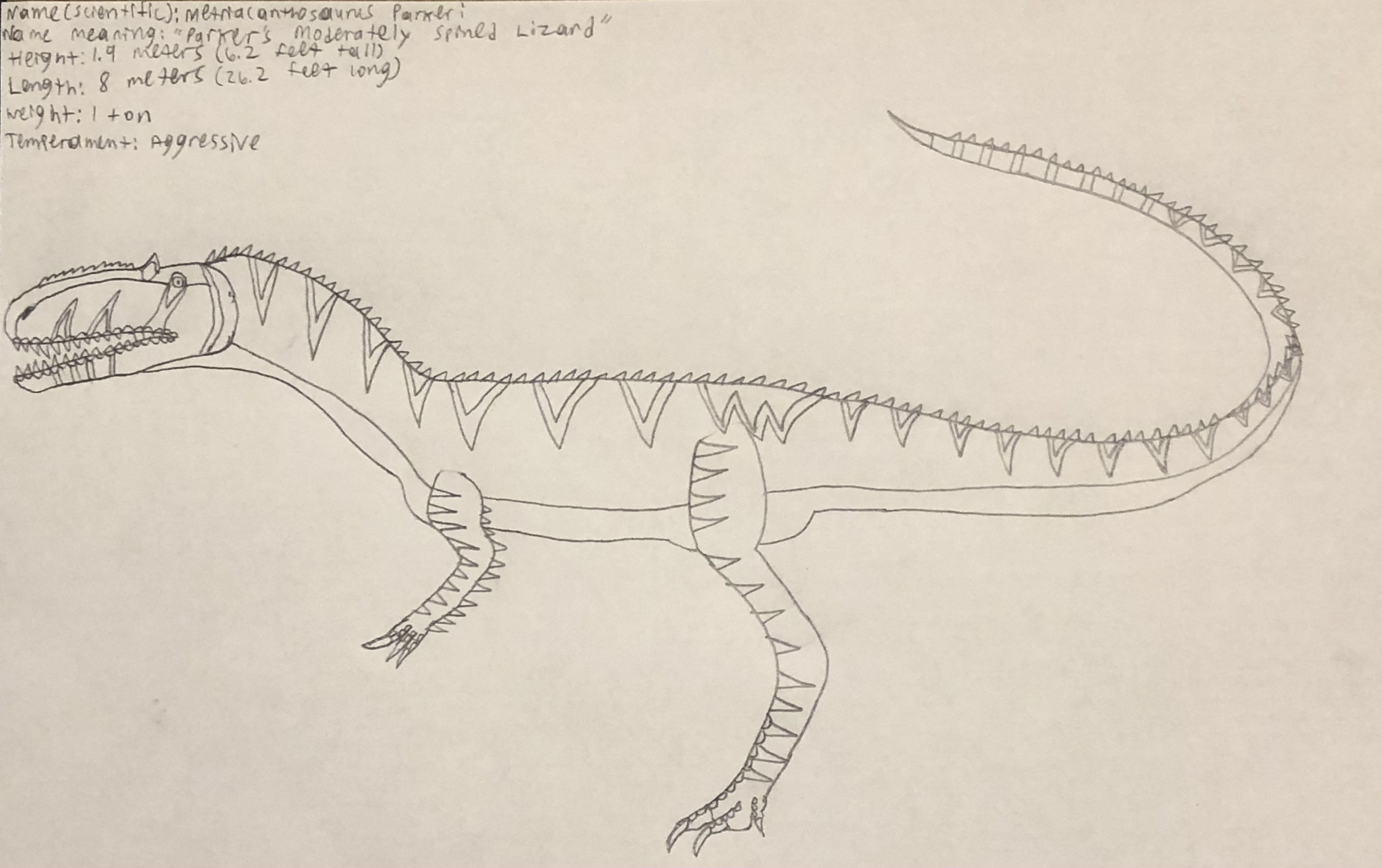 Metrisaurus Drawing PP profile #68 Metriacanthosaurus by DINOTASIA123 on DeviantArt