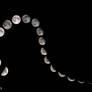 Moon Path....